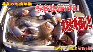船釣釣魚一支釣之花花咬也能爆桶,綜合池~花花咬
