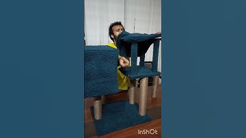 🐾 How to Assemble a Cat Tree | Step-by-Step Cat Tower Assembly Guide   #home #catlovers #cat #diy