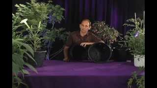 Root Maker Detailed.mov