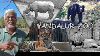 Visiting VANDALUR ZOO after Ages! 🦁🐯🦒🦓