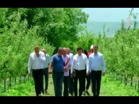 აგროდაზღვევის პროექტი