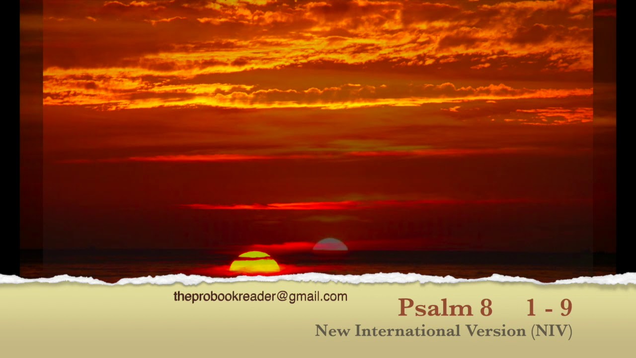 Psalm 8 1-8 🌌 The Majesty of God and Our Place in Creation | Awe ...