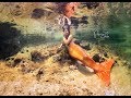 Patricia Lara usa cauda de Sereia Sirenita em seções de foto subaquáticas !