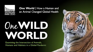 Woodland Park Zoo&#39;s One Wild World - Virtual Speaker Series - October 15, 2020