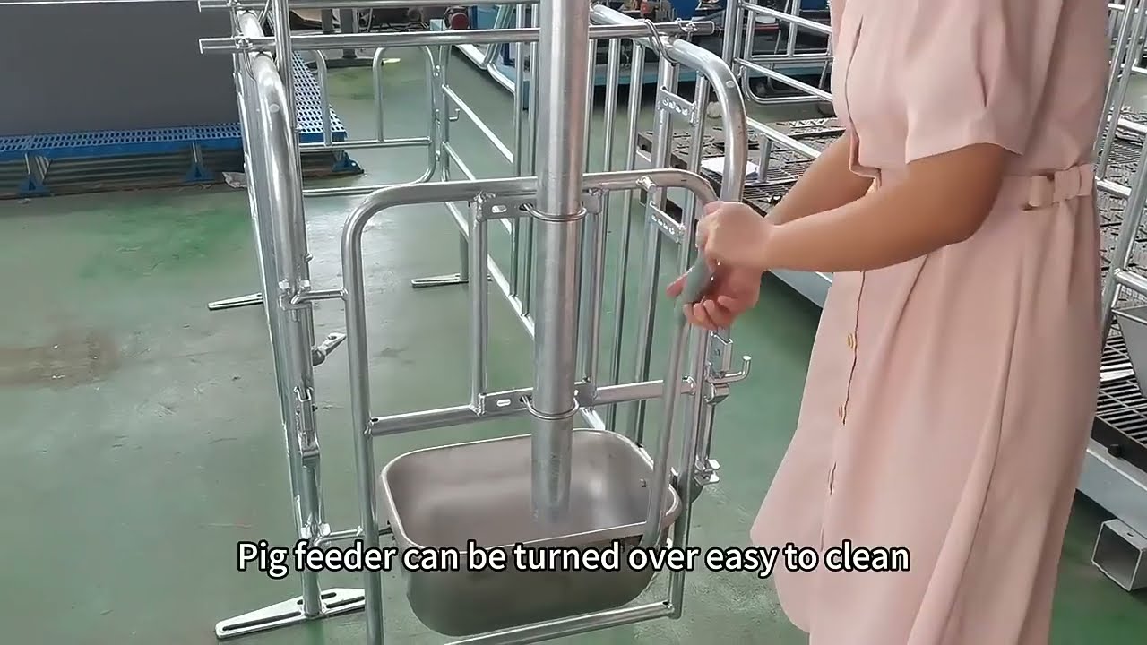 Hengyin Pig Farm Equipment high quality and customizable pig gestation crate——Hengyin