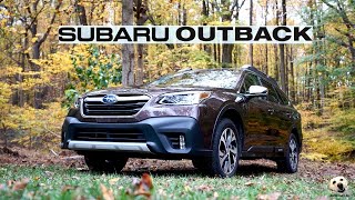 2020 Subaru Outback: Andie the Lab Review!
