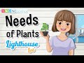 Plant Growth and Needs Assessment