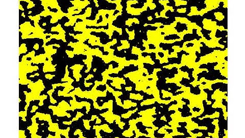 2D Ising Model in gnuplot using Fortran90