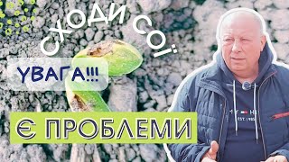 🌱 Сходи сої 🌱. 🗣 Увага!!! Є проблеми! 🙇