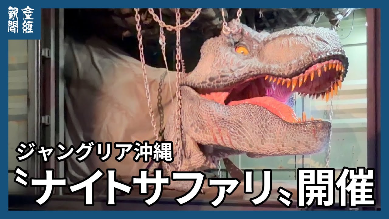 動画】ジャングリア沖縄、厳しい声も「真摯に受け止め改善」 22日から