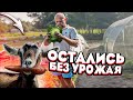 С огородом надо что-то делать ! Мечтаем о рыбалке на крупного сома . Для новой печи почти всё готово