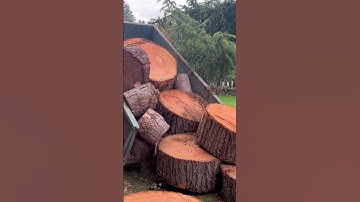 Unloading logs part 2. Log Jam