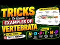 Vertebrata Examples Trick  That You’ll Never Forget 🤯🔥