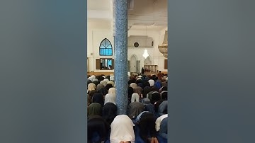 تلاوة عطره من صلاة التراويح - مسجد الصحابة - عين زاره