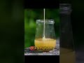 মধু কেন নষ্ট হয় না? মধু কিভাবে তৈরি হয়? summary for honey. #uc #shortvideo #honey #bee #মধু #viral