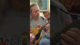Joy To The World Mandolin Short