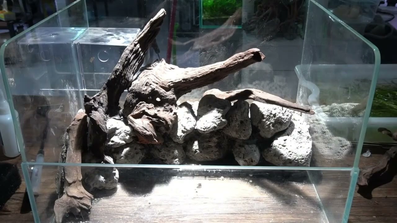 Episode 6 | Small Home Paludarium Build (Sand & Bog Filtration System)