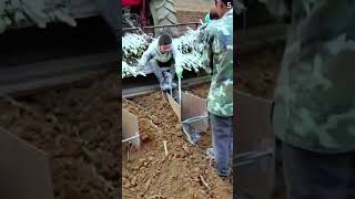 Alat pertanian kreatif untuk Menanam tebu #shorts