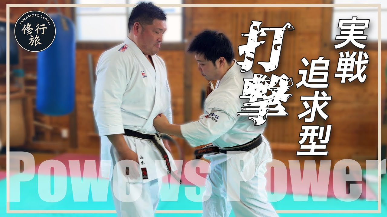 【威力VS威力】YASU道先生の打撃を喰らってきた