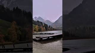 Rainy Autumn in Switzerland 🇨🇭 #nature #mountains #rain #landscape #relaxing