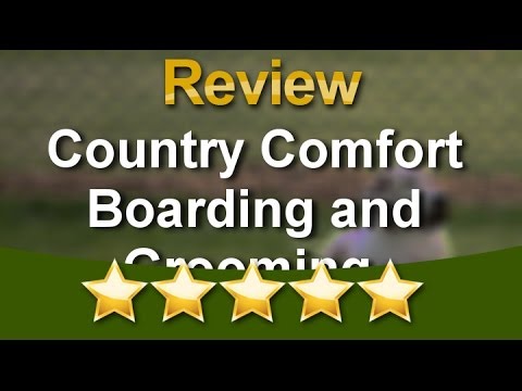 Dog Boarding Dog Training Country Comfort Boarding And