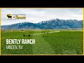 Exploring the $90,000,000 Bently Ranch | Minden, Nevada