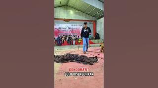 SULIT SADAR Penyembuhan kesurupan gondo mayit #jaranan #kudalumping #barongan