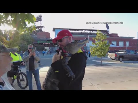 Emotional support alligator denied entry into Phillies ballpark