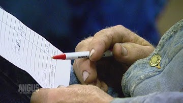 The Angus Report, April 2, 2012: Around the Angus World