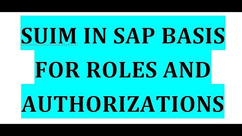 How to execute the T code SUIM for  ROLES AND Authorizations in SAP Basis