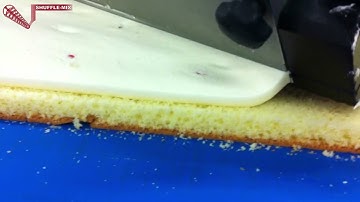 Shuffle-Mix Manifold sheet depositing on conveyor belt