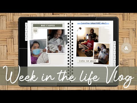 Week in my Life | How will you Celebrate Christmas this year? | Meet our New Fam Member