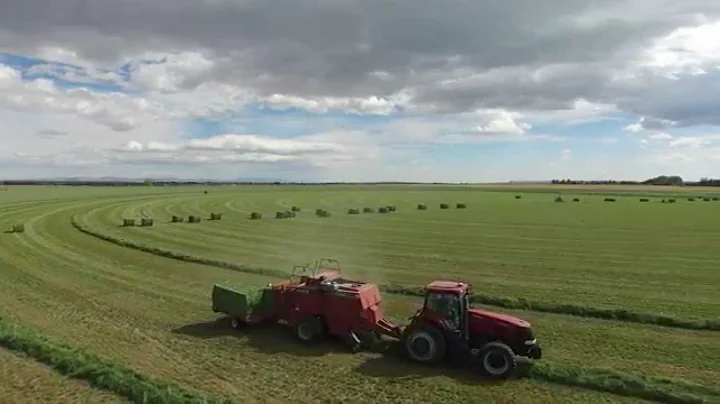 Baling Green Alfalfa in the High Desert of Wyoming