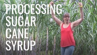 COMPLETE Process for Making SUGAR CANE Syrup