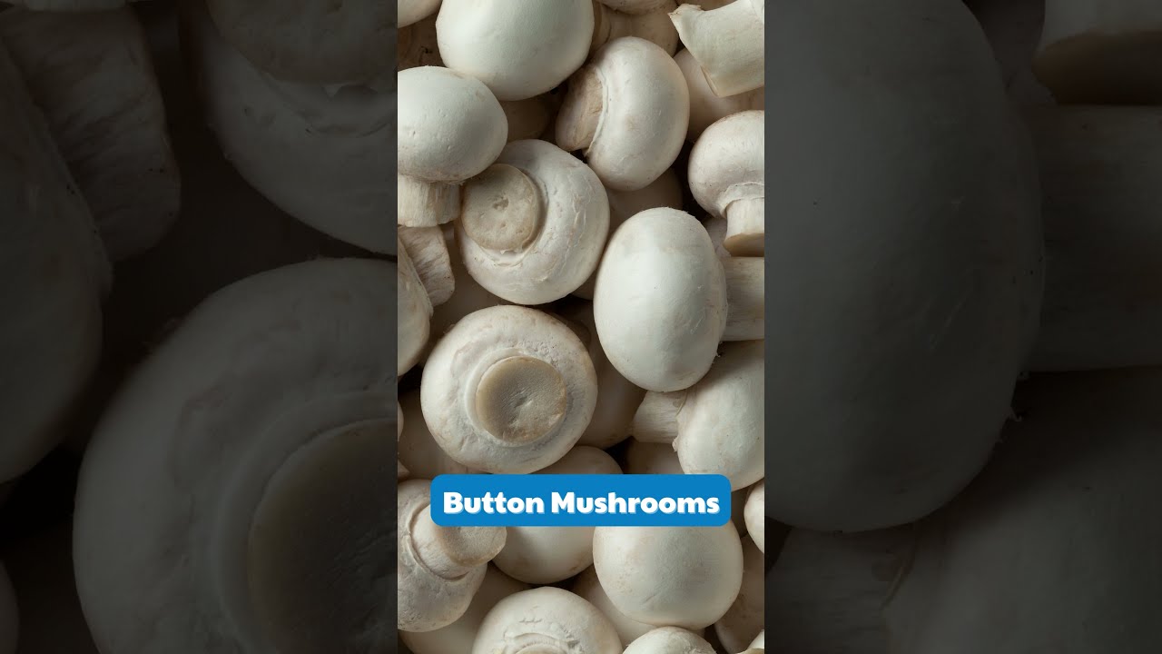 6 Mushrooms You Can Grow At Home