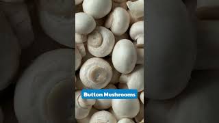 6 Mushrooms You Can Grow at Home