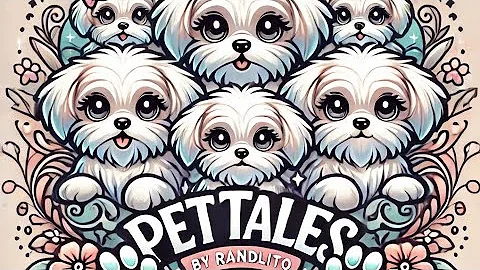 Watch the video about Meet My Adorable Pets! | Maltese Dogs & British Shorthair Cat