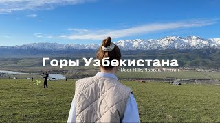 Автопутешествие одним днем в горы Узбекистана: Чиноркент, Deer Hills, Чарвак, нижняя станция Чимгана