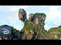 The Making of Pandora - The World of Avatar | Disney's Animal Kingdom