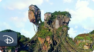 The Making of Pandora - The World of Avatar | Disney's Animal Kingdom