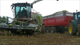 ensilage 2014