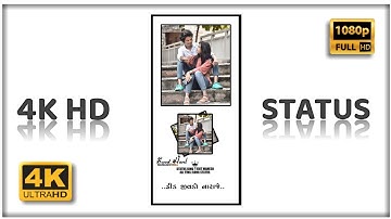 New Timli Status WhatsApp Prakash Solanki New Timli Status WhatsApp 2022