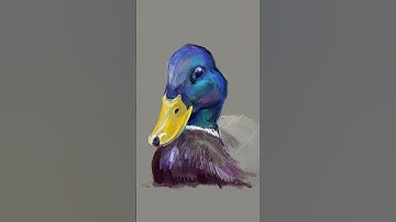 Digital Art: Drawing a Duck on iPad with Procreate