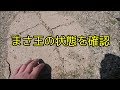 数ヵ月前に固めた「まさ王」の状態を見てみよう! の動画、YouTube動画。
