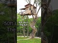 Amazing tiny home treehouse airbnb 50ft up in the air