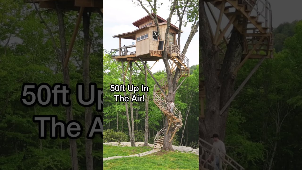 Amazing Tiny Home Treehouse Airbnb 50ft Up In The Air 