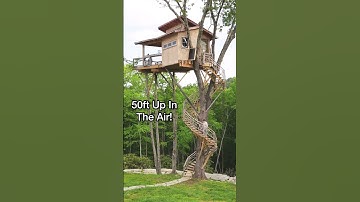 Thumbnail of Amazing Tiny Home Treehouse Airbnb 50ft Up In The Air!