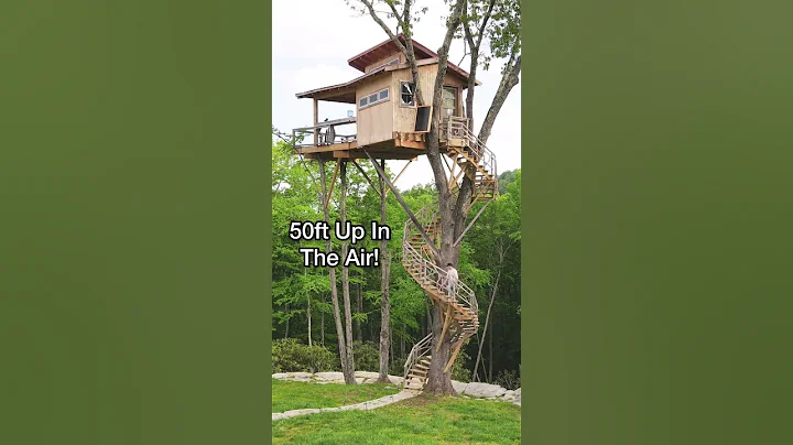 Amazing Tiny Home Treehouse Airbnb 50ft Up In The Air! - DayDayNews