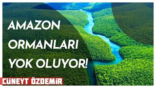 Amazon Yok Oluyor