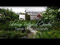Siberian botanical garden  - Tomsk state university